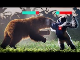 Silverback Gorilla VS Grizzly Bear