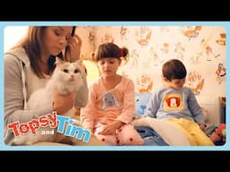 🙀 LOST CAT! 🐱 | Topsy & Tim Mega Compilation! | Shows For Kids | WildBrain Zigzag