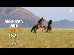 America's Wild Seasons, Spring - हिन्दी डॉक्यूमेंट्री | Wildlife documentary in Hindi