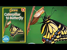 Caterpillar to butterfly national geographic | Science read aloud