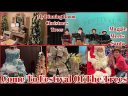 Come To WSRE FESTIVAL OF THE TREES | MAGGIE meets SANTA | Dinning Room Christmas Trees