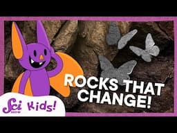 How Metamorphic Rocks Are Like Butterflies | SciShow Kids