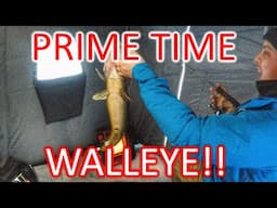 Prime Time Walleye!!