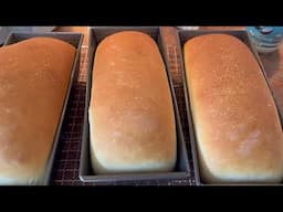 best bread recipe that makes 3 loaves | bosch universal plus