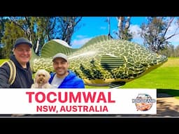 Tocumwal / What To Do In Tocumwal / Camping Tocumwal / Pet-Friendly Town NSW