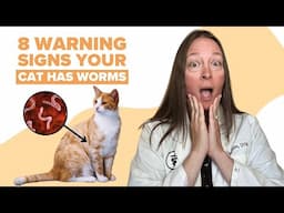 8 Signs Your Cat Has Worms