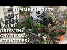 How My Plants Have Transitioned Outside | Growth, Updates & Fails