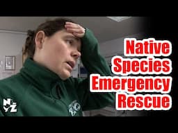 Native Species Emergency Rescue | Northumberland