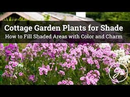 Best Cottage Garden Plants for Shade / How to Fill Shaded Areas with Color and Charm