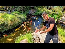 Amazing Koi Farm Tour!