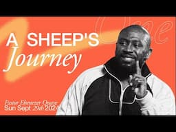 A Sheep's Journey - Ebenezer Quaye