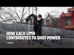 How Each Limb Contributes To Shot Power