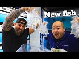 UNBOXING NEW FISH - Do you need AQUARIUM, BAGS or BOXES? WE GOT IT!