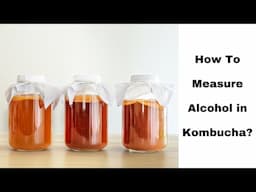 How to Measure Alcohol in Kombucha