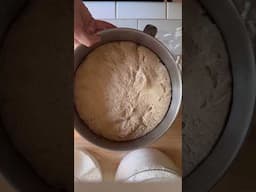 THE WORKING KITCHEN: Sourdough Bagels with Freshly Milled Einkorn Flour