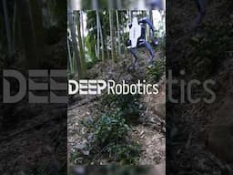 Extreme Off-Road DEEPRobotics Lynx All-Terrian Robot | New Technology | PRO Robots