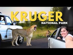 Affordable Self-Drive Safari in Kruger National Park: Budget Tips & Essential Guide