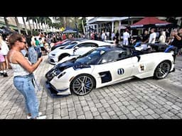 Exotics at The Colonnade | Supercars, Amazing Cars, Exotic Cars, Custom Cars, Car Show