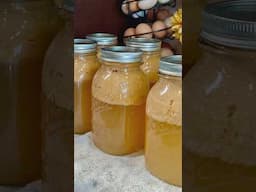 How to make & can apple juice!!!      #canning #applejuice #homestead #2ingredients