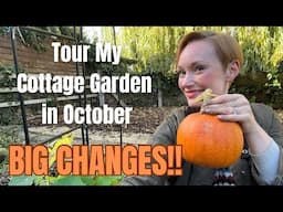 TOUR MY COTTAGE GARDEN AND ALLOTMENT AREA IN OCTOBER - AUTUMN 2024