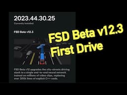 Tesla FSD Beta v12.3 First Impressions