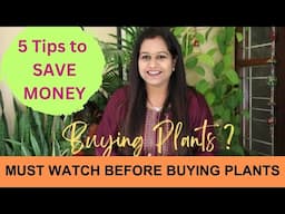 5 Tips for buying plants to save Money|| Tips for Efficient Gardening