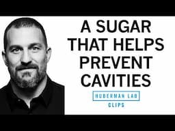 The Benefits of Xylitol for Oral Health | Dr. Andrew Huberman