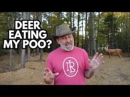 They Are Eating MY POO💩?!? | Unique FOOD PLOT Idea | OFF GRID Barnhouse Build