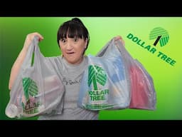 My Mini DOLLAR TREE Haul | Short But Sweet