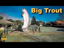 Australia Walking Tour - Big Trout Town in Rural New South Wales | 4K HDR