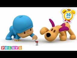 🐶 Gli amici pelosi di Pocoyo 🐥 (30 minuti) Pocoyo 🇮🇹 Italiano | Canale Ufficiale Cartoni per bambini