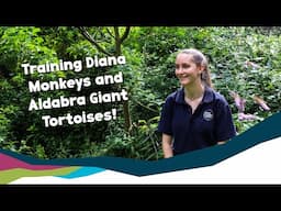 Natalie Discusses Her Student Placement Experience at Wild Planet Trust