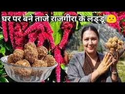 ||Amaranth Season|| Rajgira Homemade Laddu Recipe|| Kinnaur HP ||