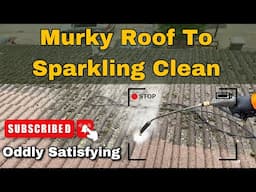 Roof Transformation: From Murky to Sparkling Clean | Exterior Cleaning Xpert - Leicester