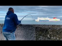 NONE STOP ACTION at HOLYHEAD BREAKWATER