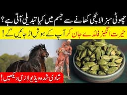 Surprising Benefits of Green Cardamom || Sabz Elaichi ke Fayde || Health Boost || Islam Advisor