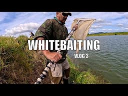 Whitebaiting With The Scoop Net