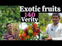 140 verity exotic fruits in Tumkur, exotic fruits farming,  #exoticfruitsfarming