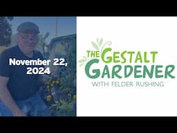 The Gestalt Gardener - November 22, 2024