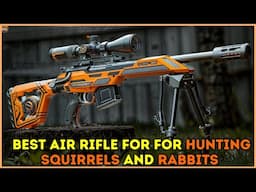 Top 7 Best Air Rifle for Hunting Small Game 2025