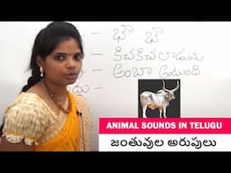 జంతువుల అరుపులు | Animal sounds in telugu | Learn Telugu