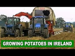 Potato Farming in Ireland ** Documentary by Videos of Irish Farming Life