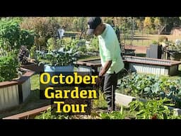 October Garden Tour - New citrus addition #garden #gardening