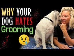 Why Your Dog Hates Grooming (and How to Fix It!)