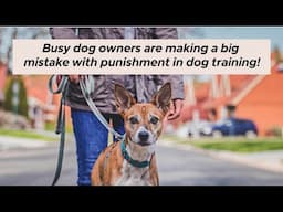 Stop Punishing Your Dog! Try These Positive Training Methods Instead