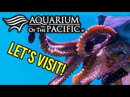 Aquarium Of The Pacific - This place is MASSIVE