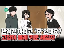 고양이 6마리 몰래 키운 세입자 커플♨ 반려견 아니라고 우기는 세입자 어떻게 할까요?ㅠㅠ #진상세입자 | 행복한 아침 1492 회