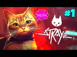 *NEW* Stray 🐱 - Ep 1 (cats make the best main characters)