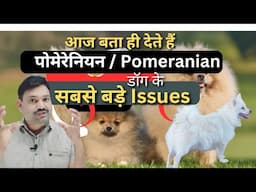 आप के पास ये डॉग है तो जान लो Pomeranian dog Problems 👉🏽 pomeranian dog is good or bad