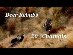 3 Day Deer Hunt, Chamois Everywhere! | a skinny hind for the freezer